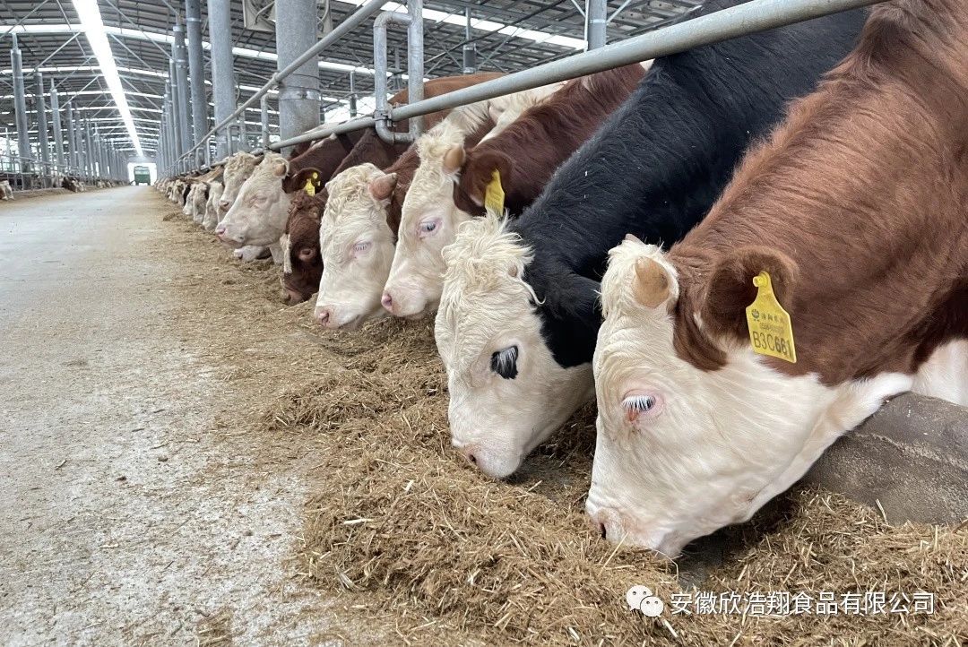 1705398060134228.jpg 微信圖片_20240116174002.jpg