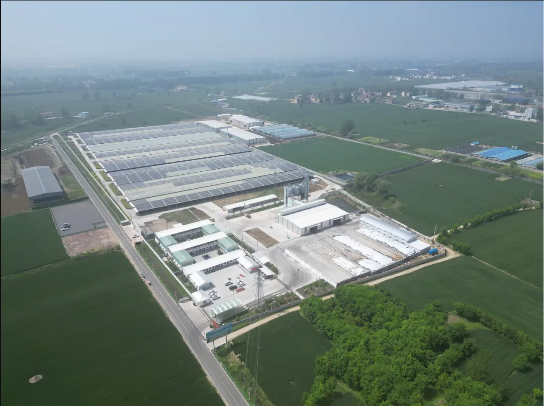 1723450761209975.png 1723450257739.png