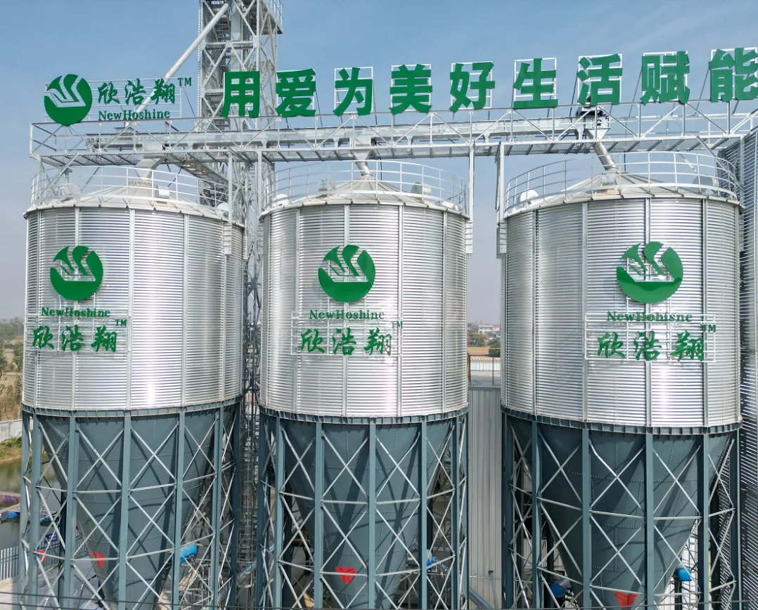 1723450773113904.png 1723450306534.png